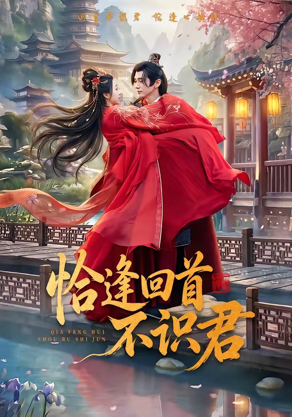恰逢回首不识君封面图