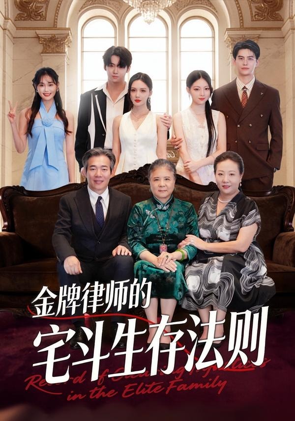 金牌律师的宅斗生存法则封面图