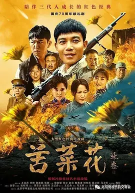 苦菜花封面图