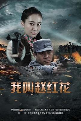 我叫赵红花封面图