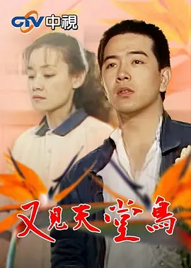 又见天堂鸟封面图