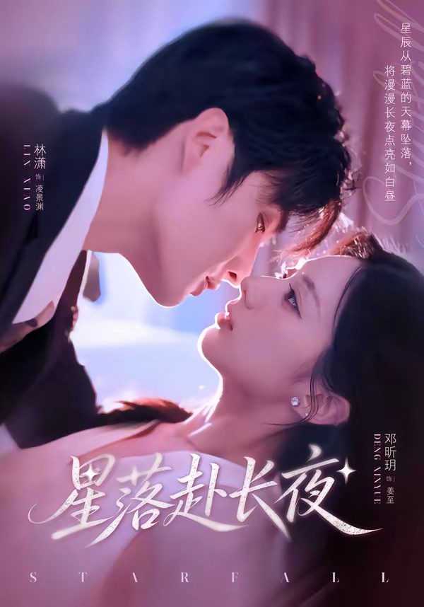 星落赴长夜封面图