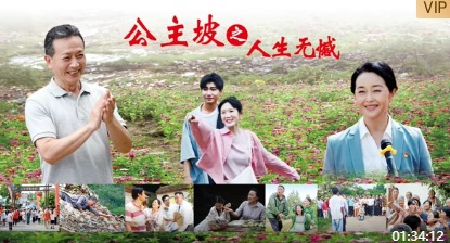 公主坡之人生无憾封面图