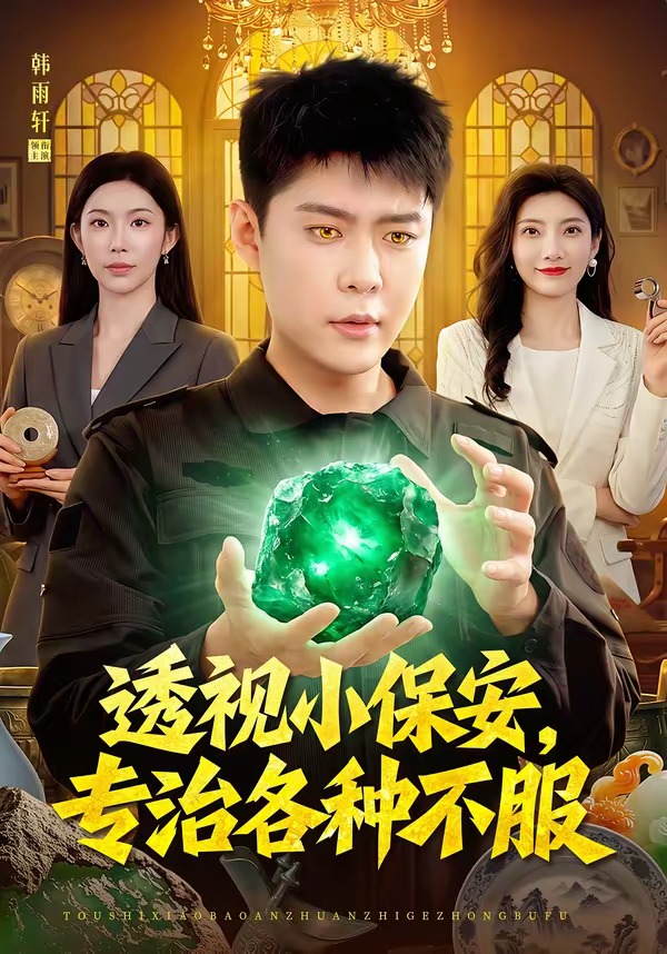 透视小保安，专治各种不服封面图
