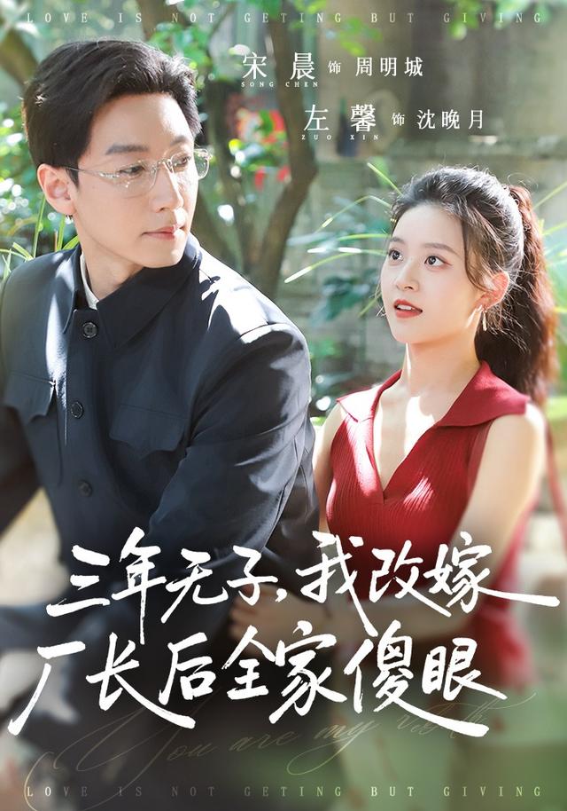 三年无子，我改嫁厂长后全家傻眼了封面图