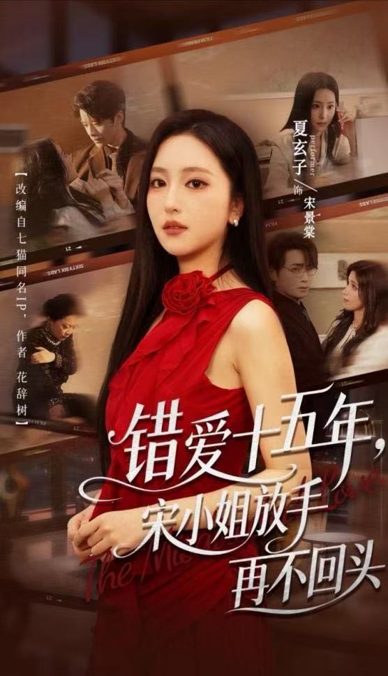 错爱十五年，宋小姐放手再不回头封面图