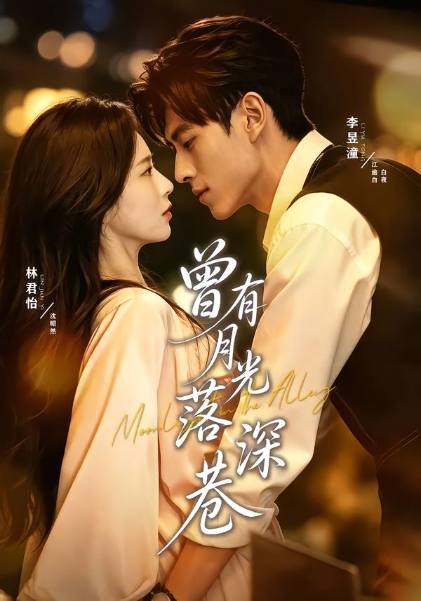 曾有月光落深巷封面图