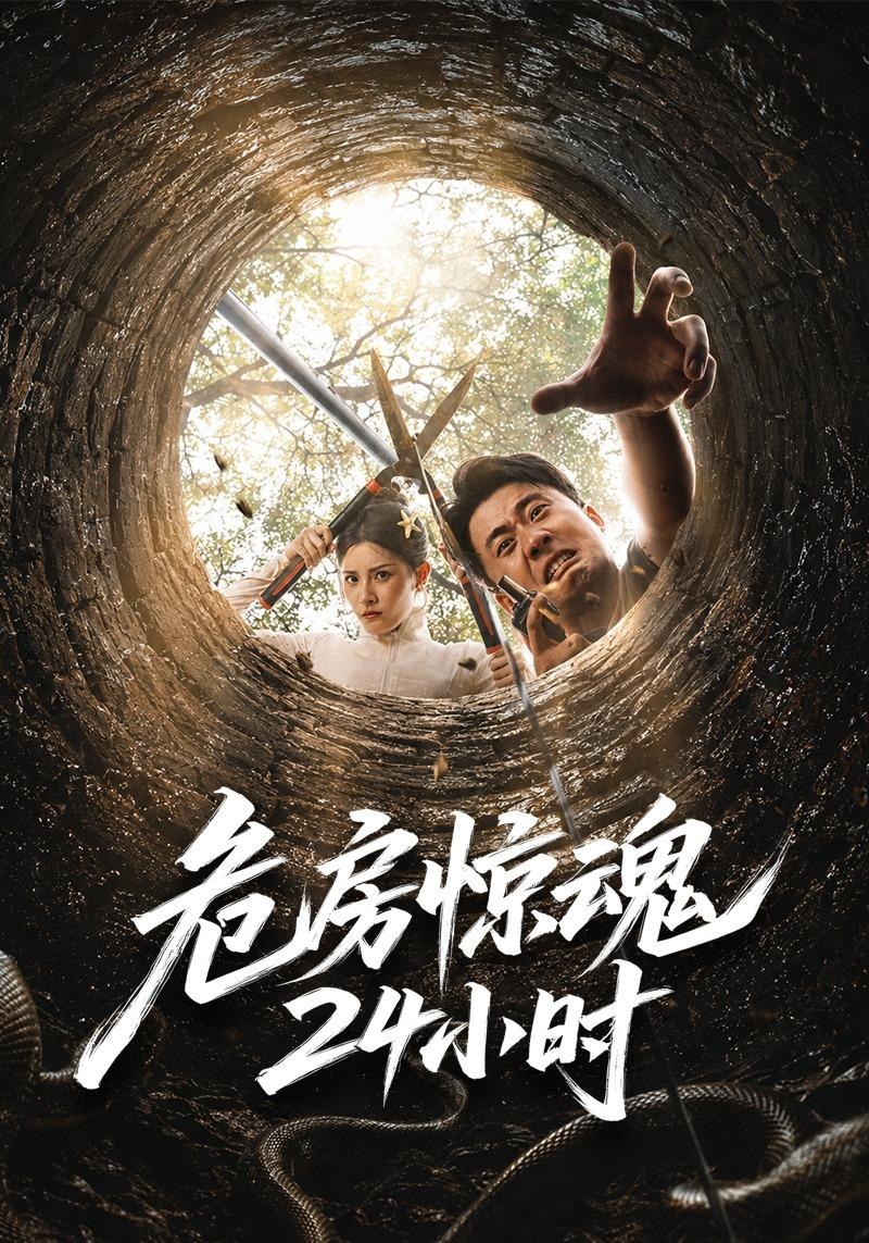 危房惊魂24小时封面图