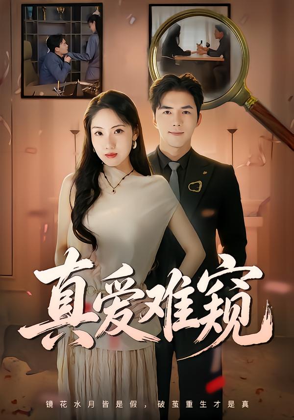真爱难窥封面图